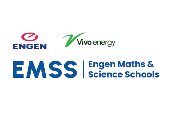 EMSS logo rectangle